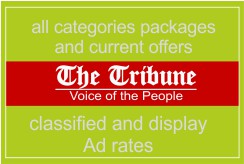 The Tribune